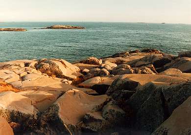 Land and see